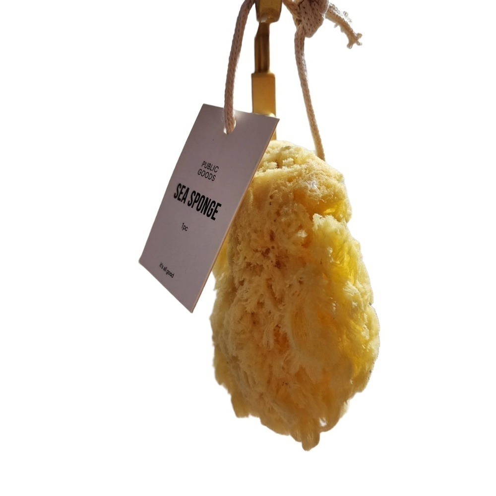 Public Goods Natural Grass Sea Sponge 4 Inch Bath Shower Exfoliator New